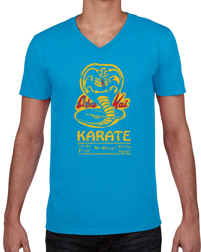 Hot Press Apparel Cobra Kai Dojo 80s Movie Ninja Karate party funny college gift present sensai apparel tee shirt