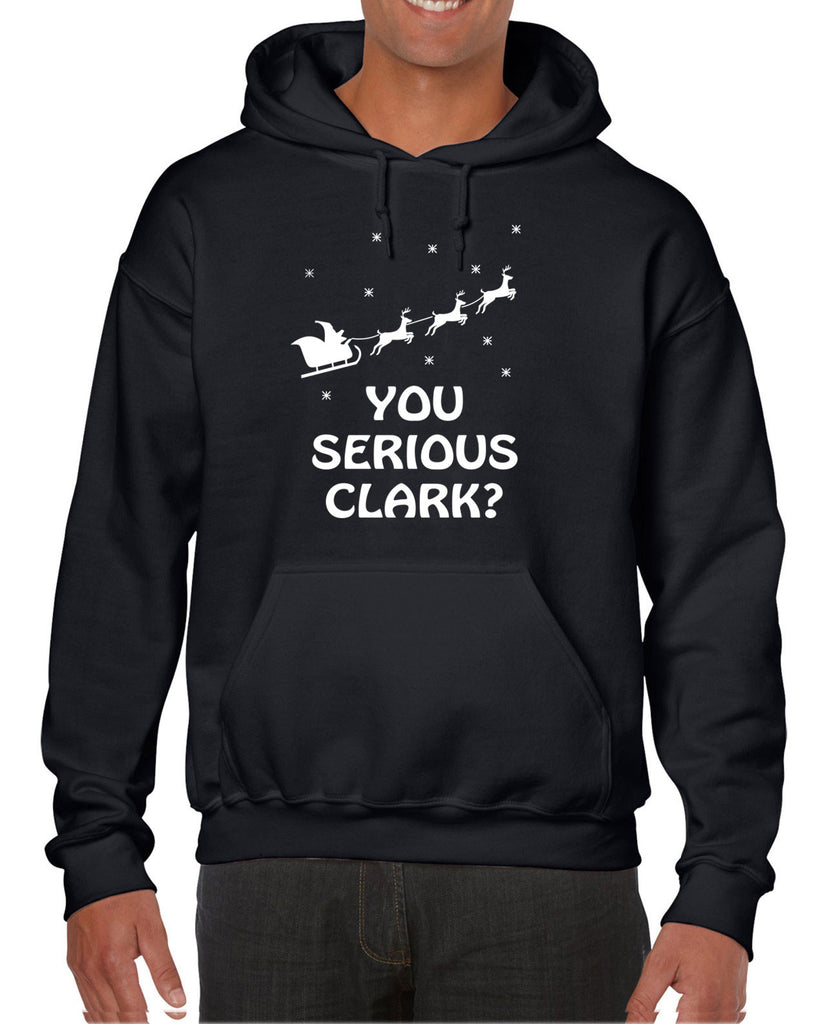 Hot Press Apparel Unisex You Serious Clark Hoodie