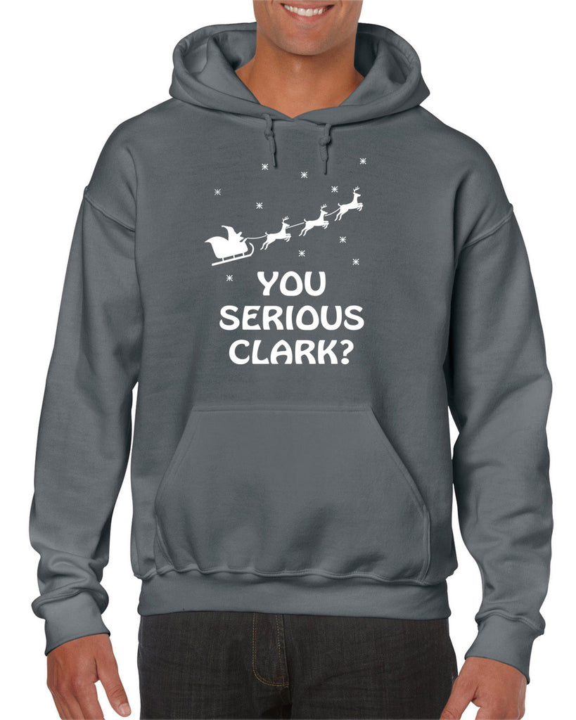 Hot Press Apparel Unisex You Serious Clark Hoodie