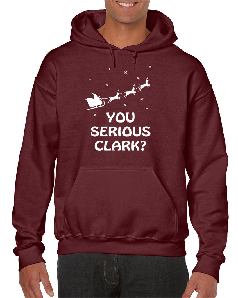 Hot Press Apparel Unisex You Serious Clark Hoodie