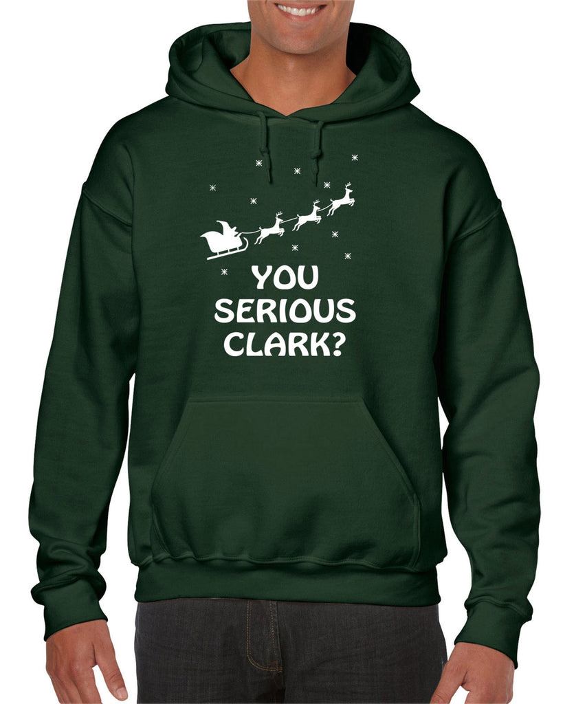 Hot Press Apparel Unisex You Serious Clark Hoodie