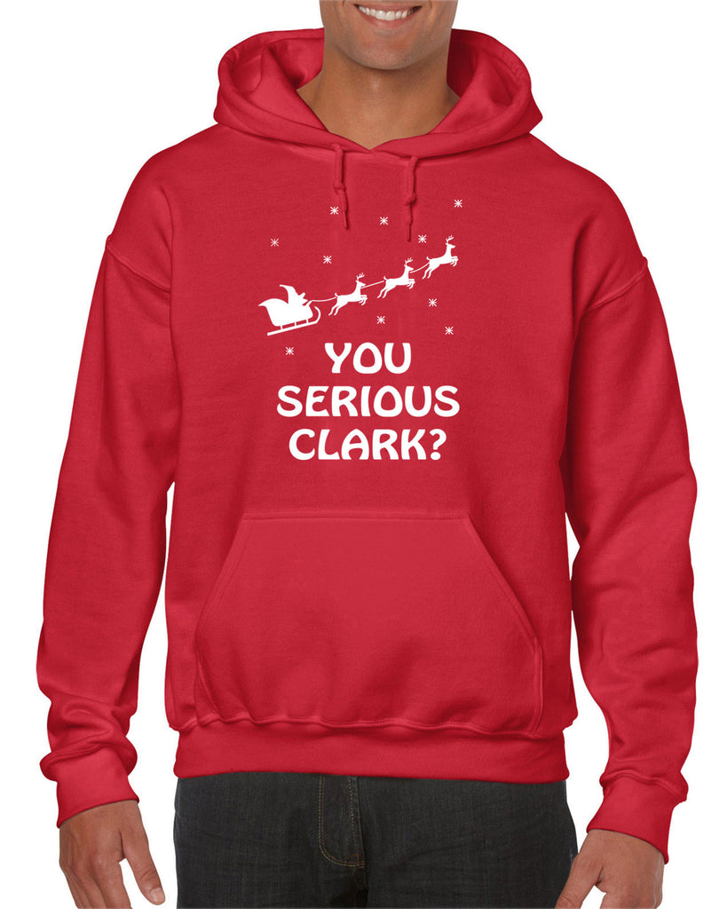 Hot Press Apparel Unisex You Serious Clark Hoodie