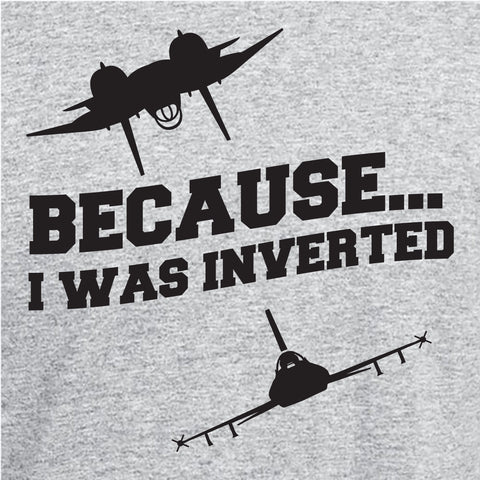 Because I Was Inverted